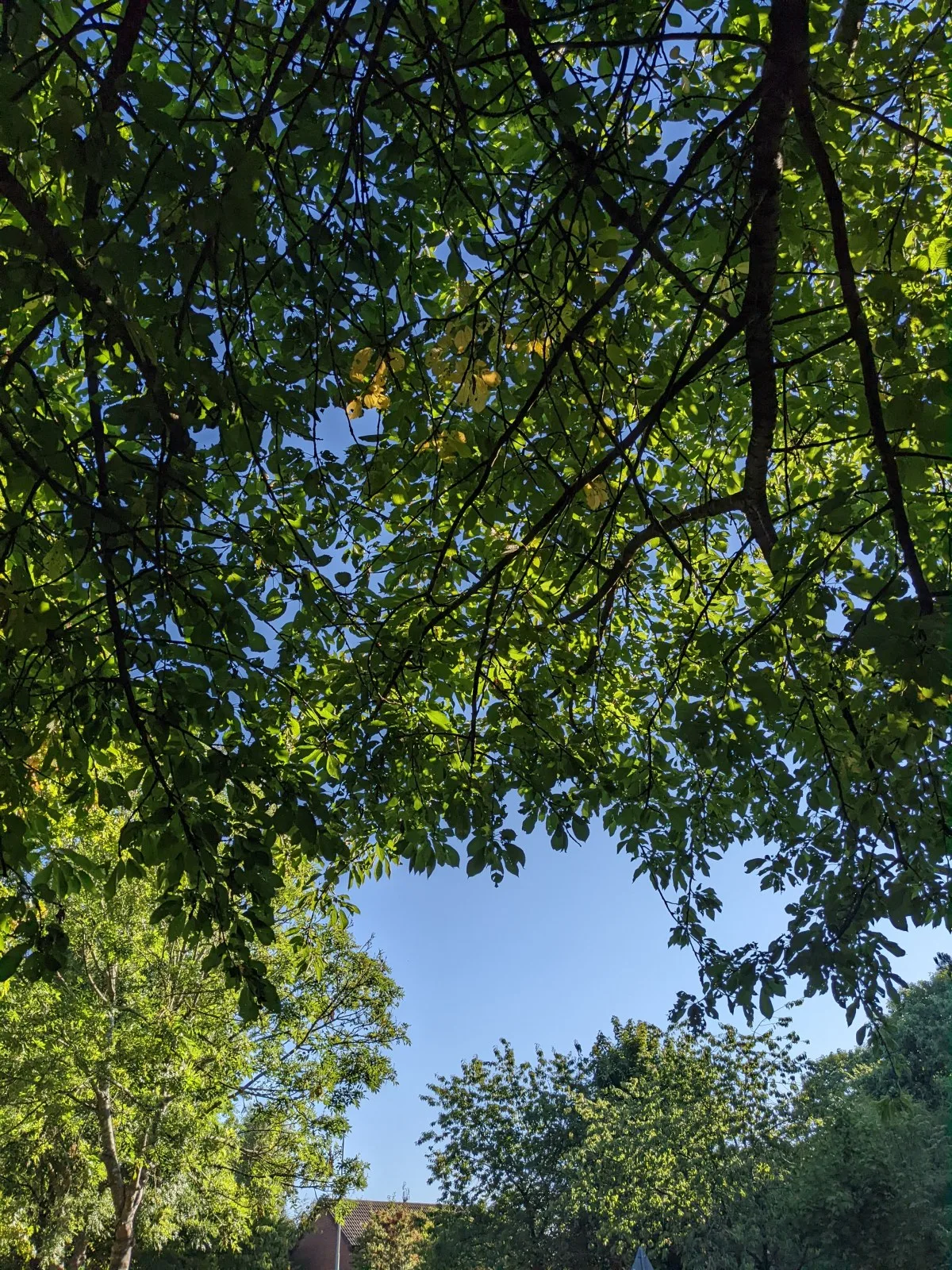 A Fresh Perspective