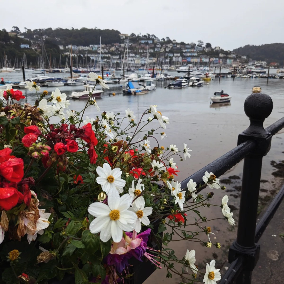 ‘A Sky Full of Stars’: Tales from a long weekend camping in Dartmouth✨