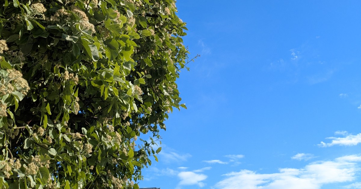 Life lately: Wedding Plans, Warm Evenings and Writer’s Block