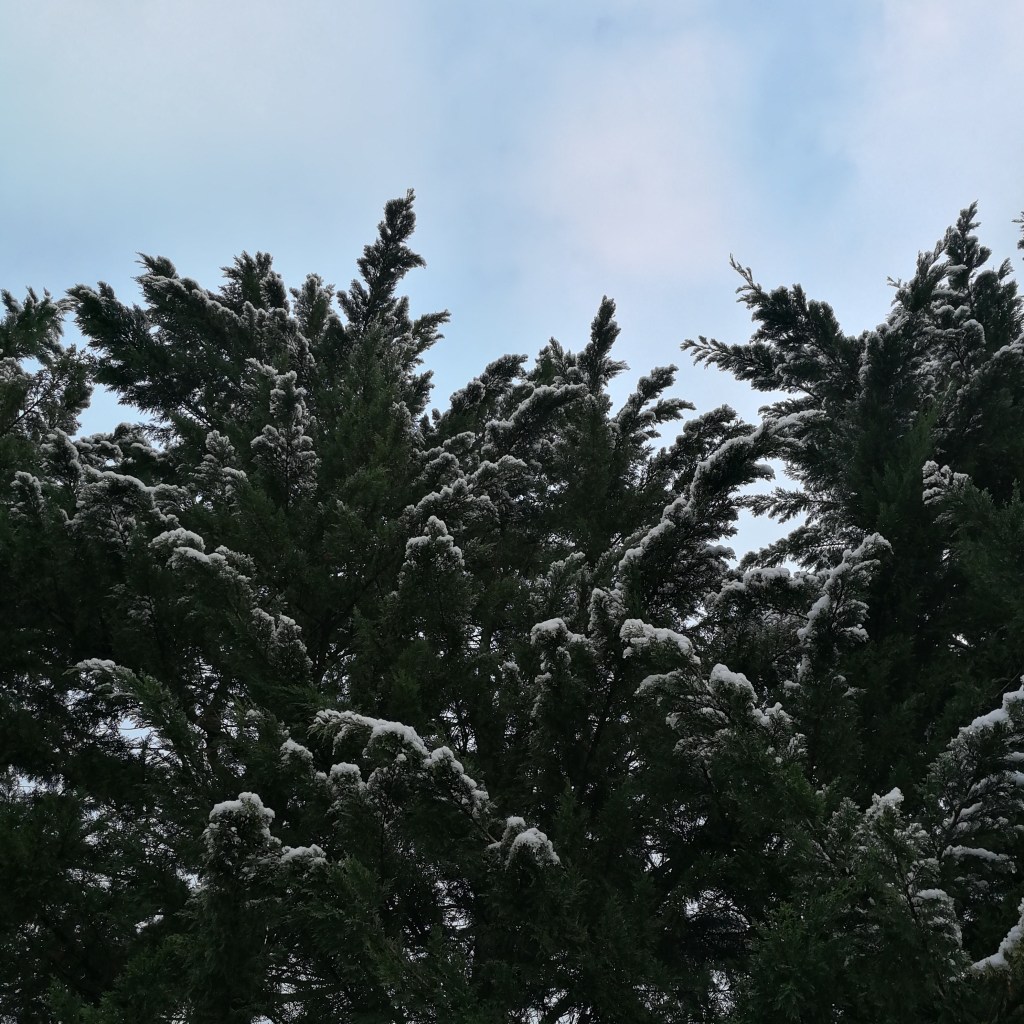 Week Four: Celebrating Small Wins