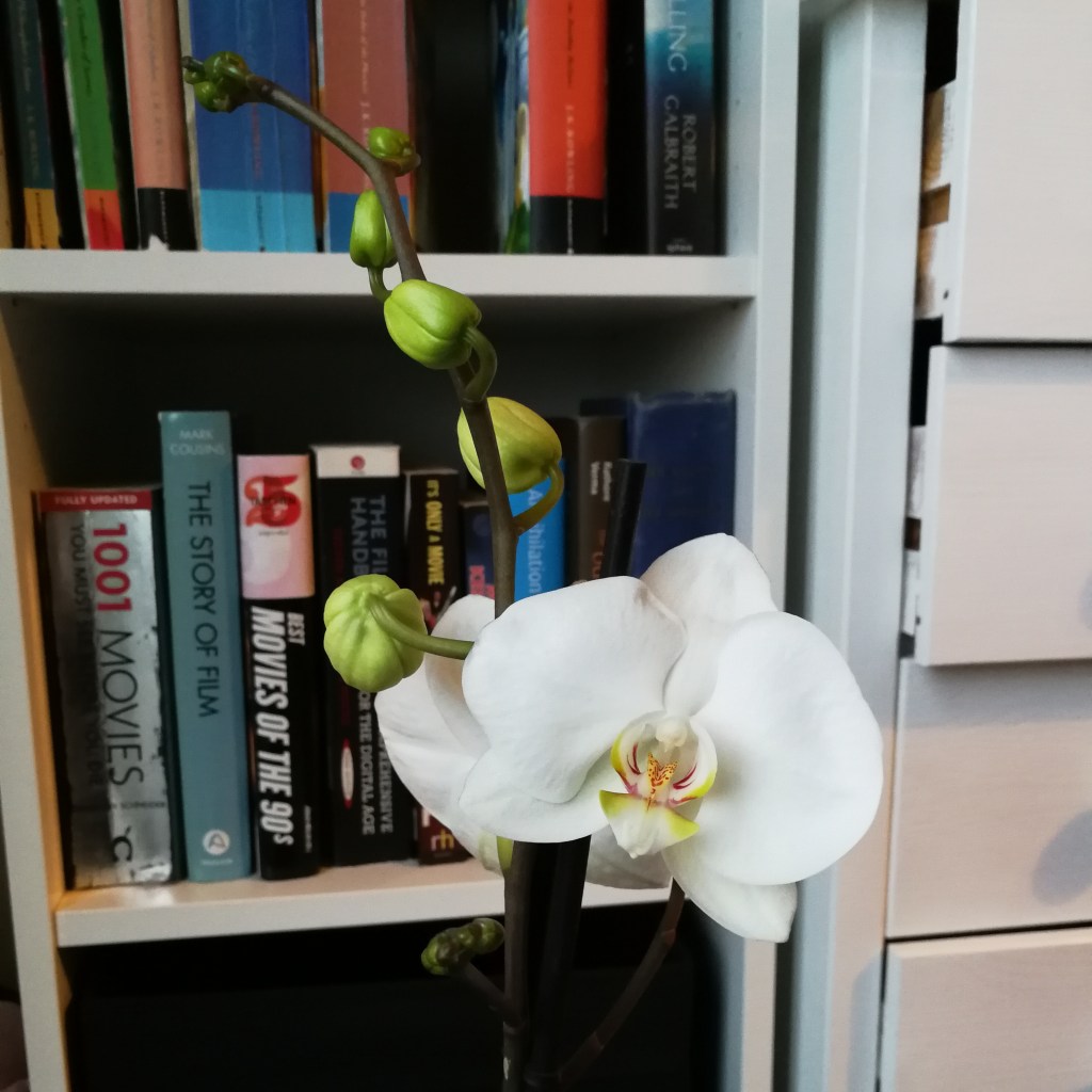 Week Nine: Normality is underrated and not to be taken for granted