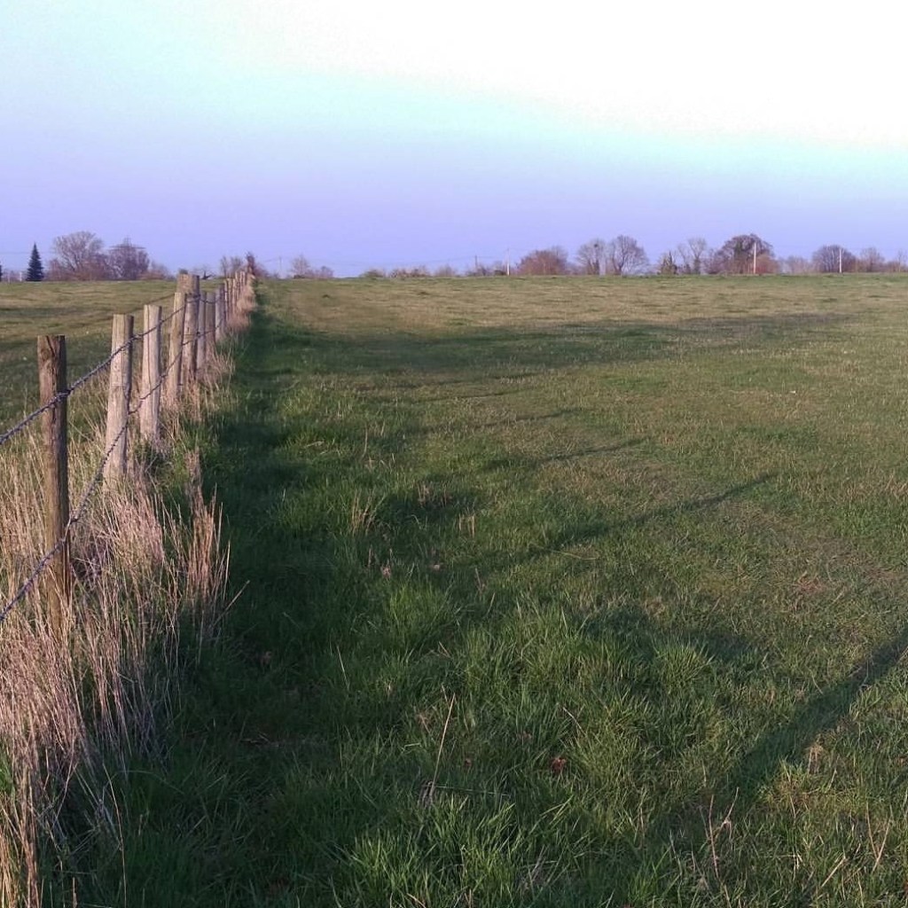 Week Eleven: Making Time For What Brings Me Joy