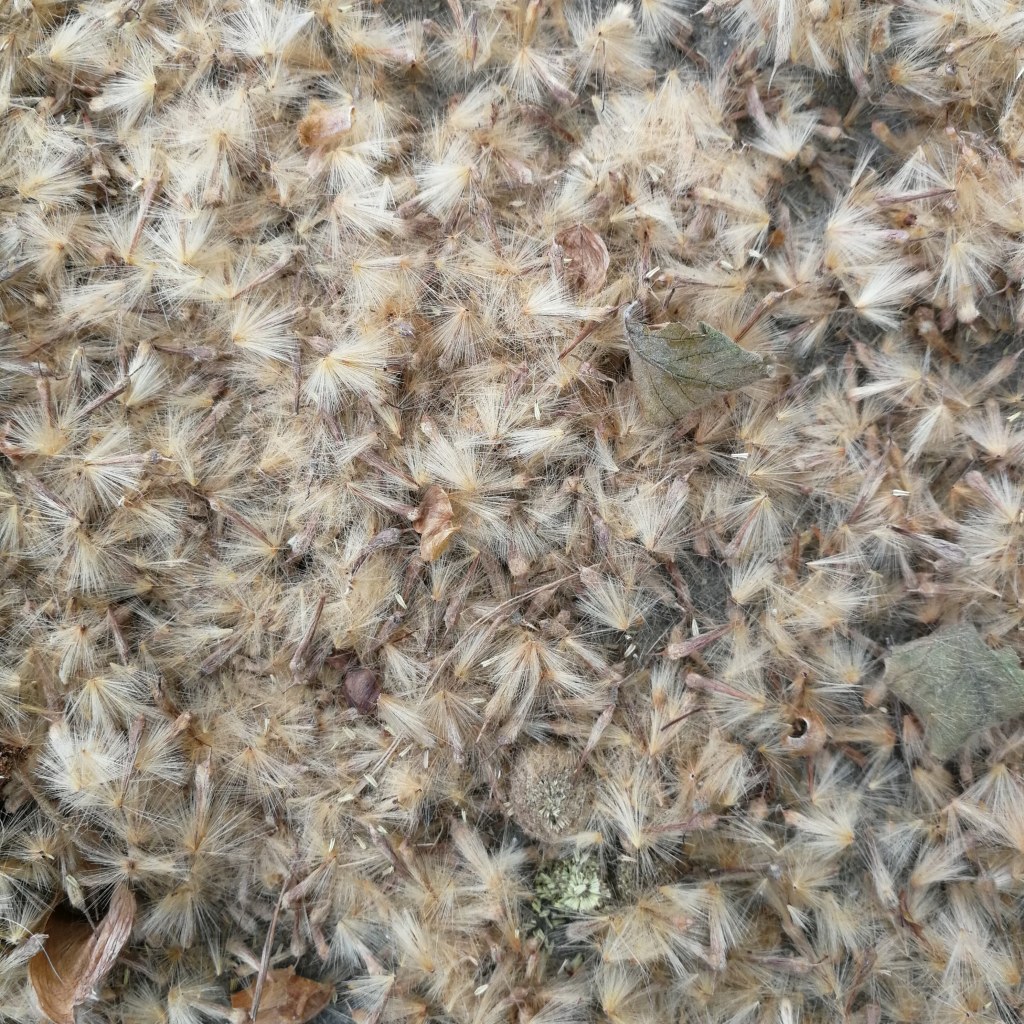 Week Nineteen: Living our Twenties to the Max