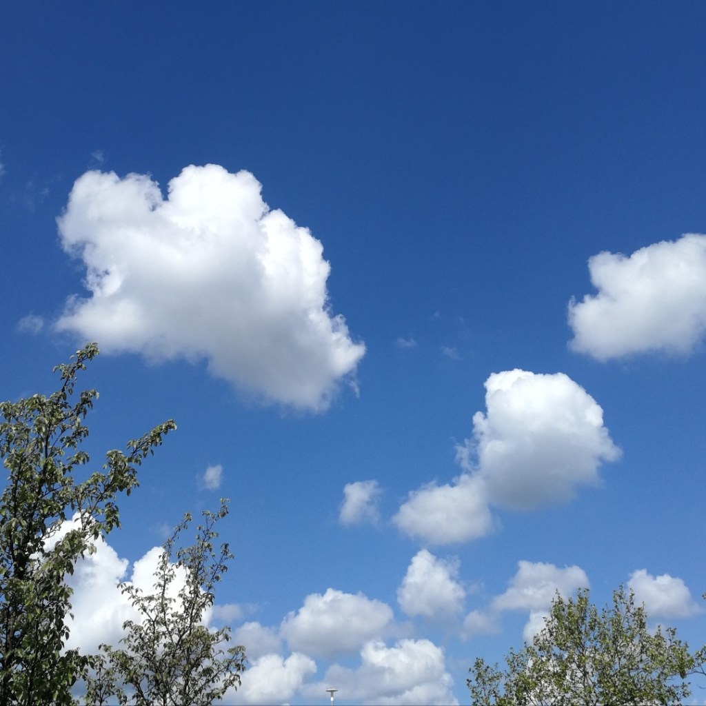 Week Twenty: Celebrating Friendship and Turning 25