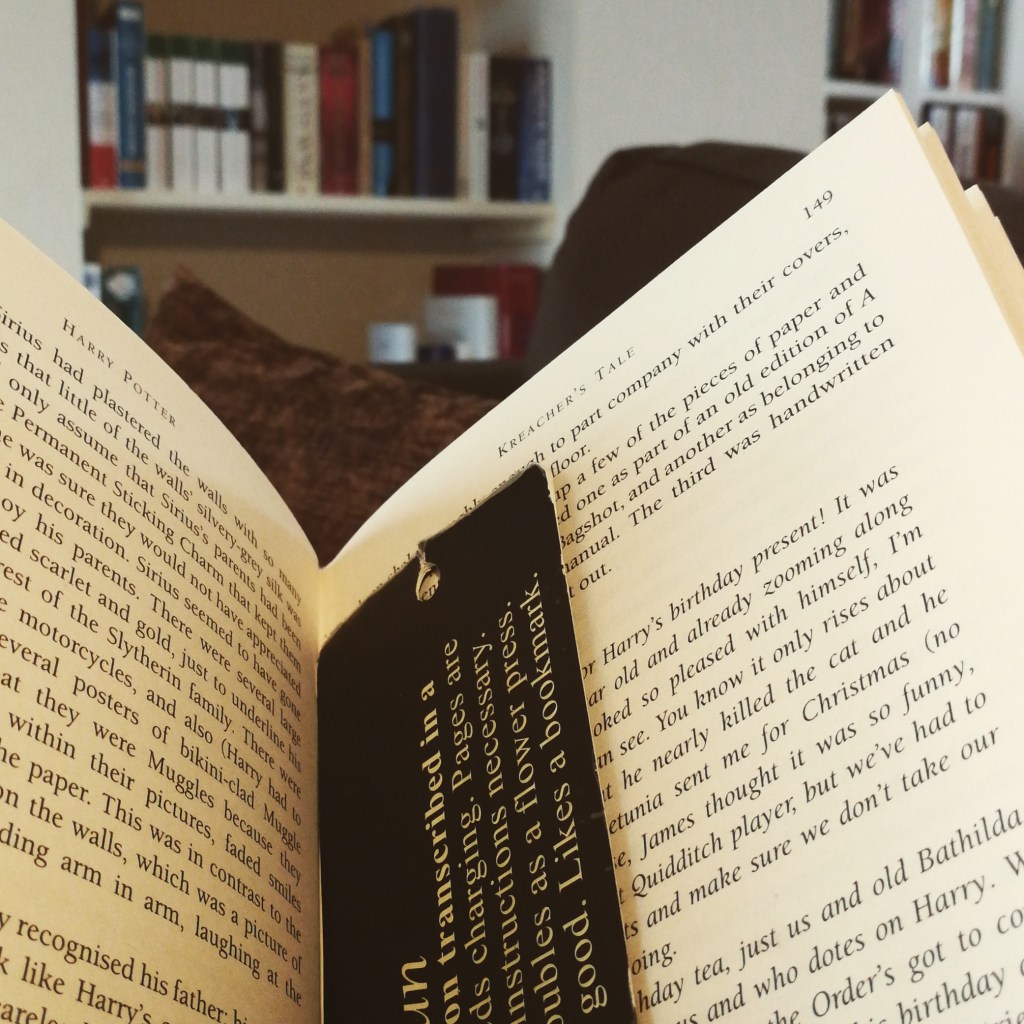 Week Forty-One: Finding gratitude in the face of sadness