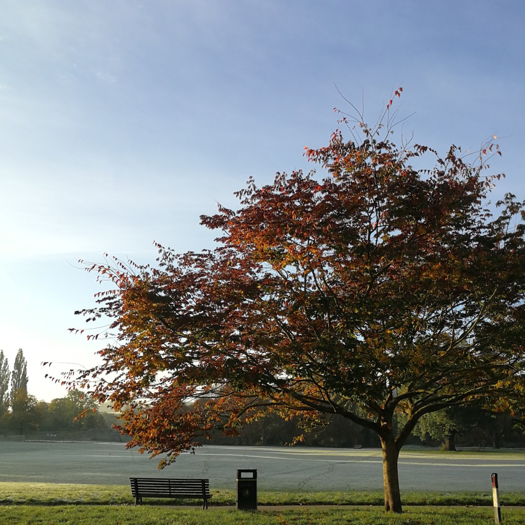 Week Forty-Five: A self-care Sunday