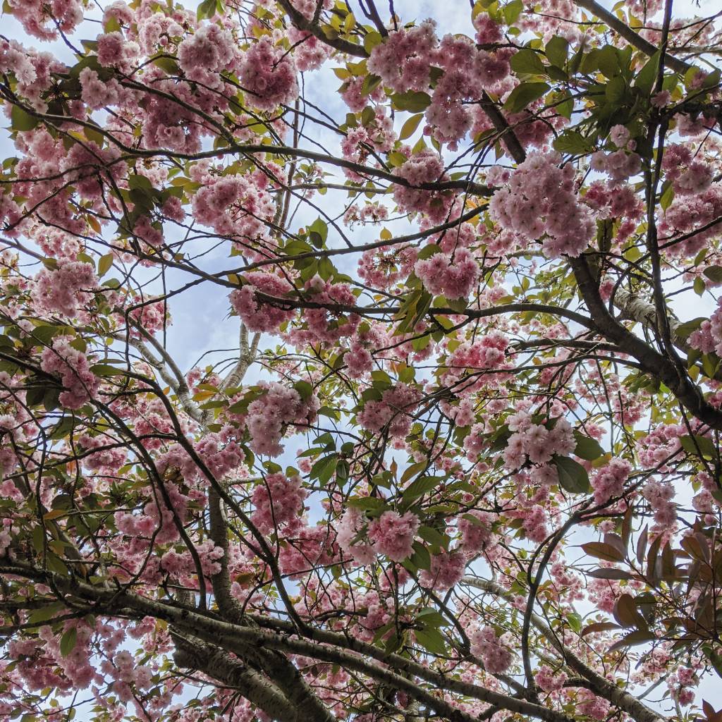 The COVID-19 pandemic continues: Is it just&nbsp;me?