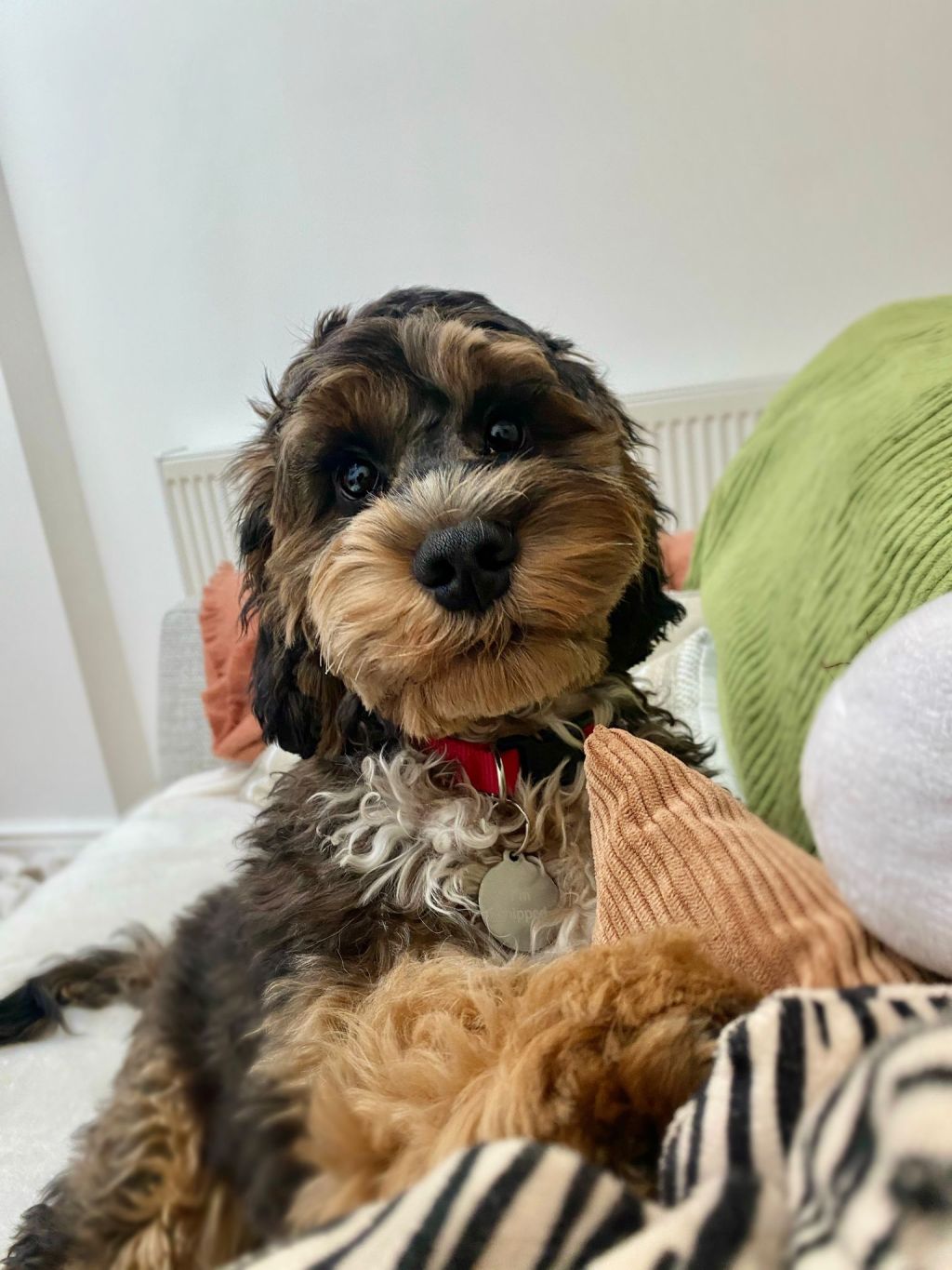 Post-birthday reflections: 28 years older and&nbsp;wiser-ish