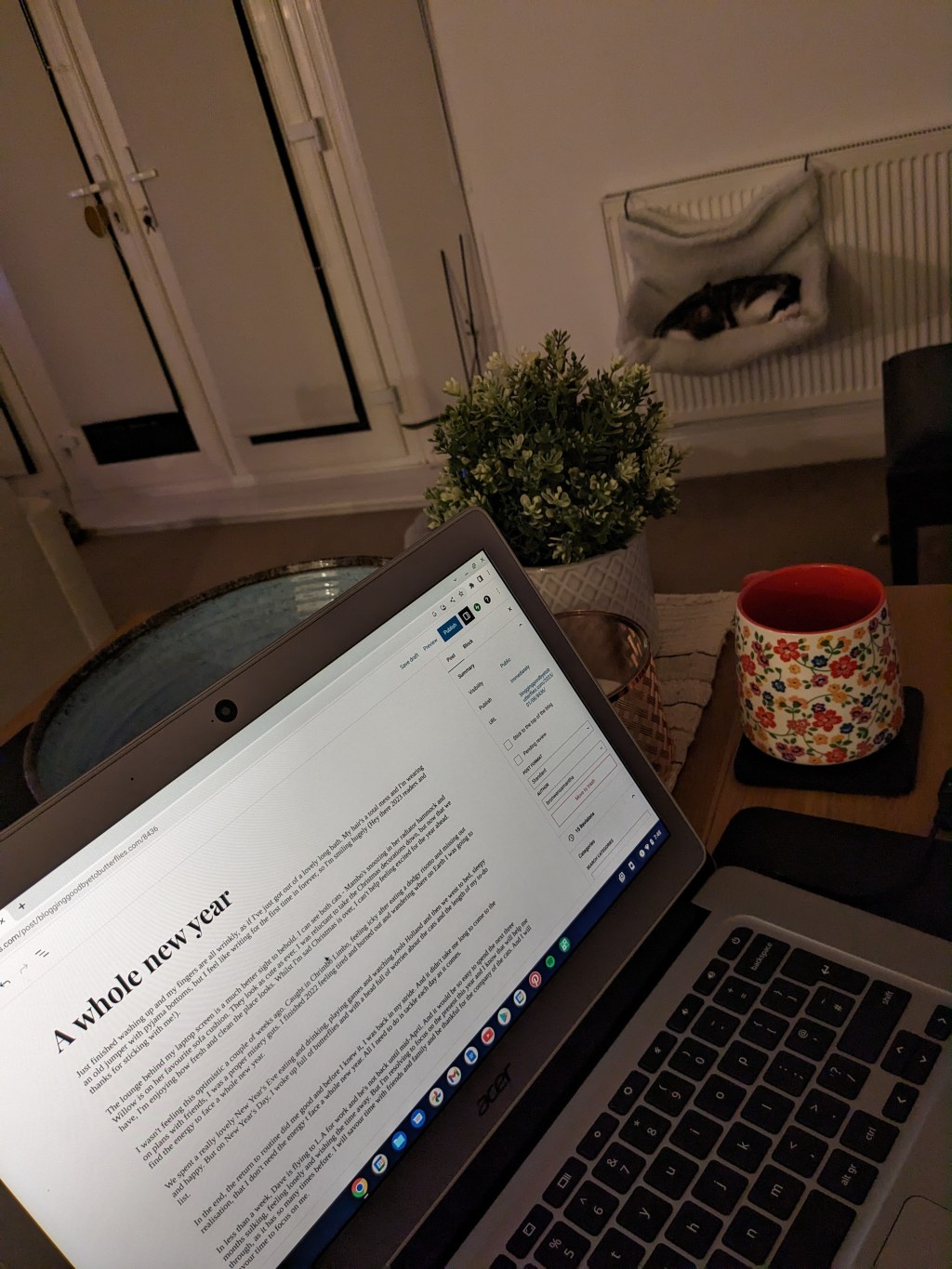 Facing a Whole New Year One Day at a Time