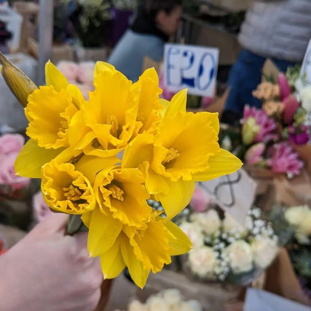 You May Never Really Find Yourself 🌸