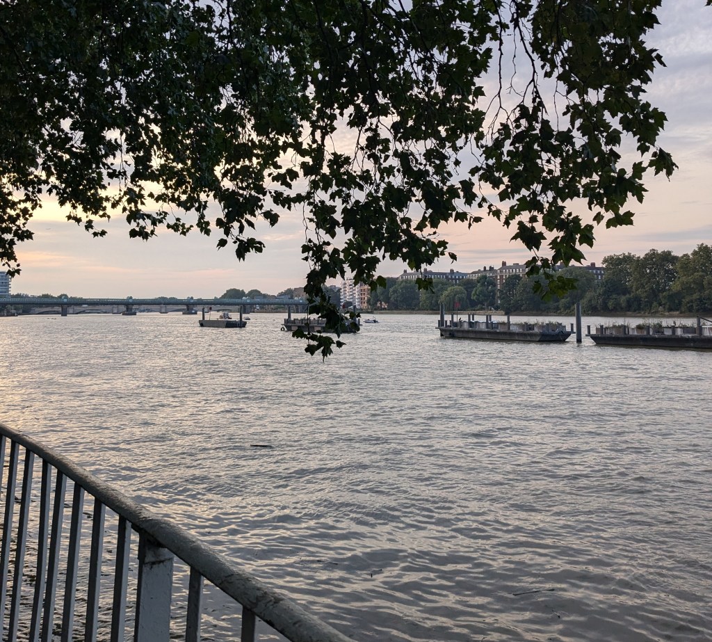 Diversions in life make way for new adventures 🗺️