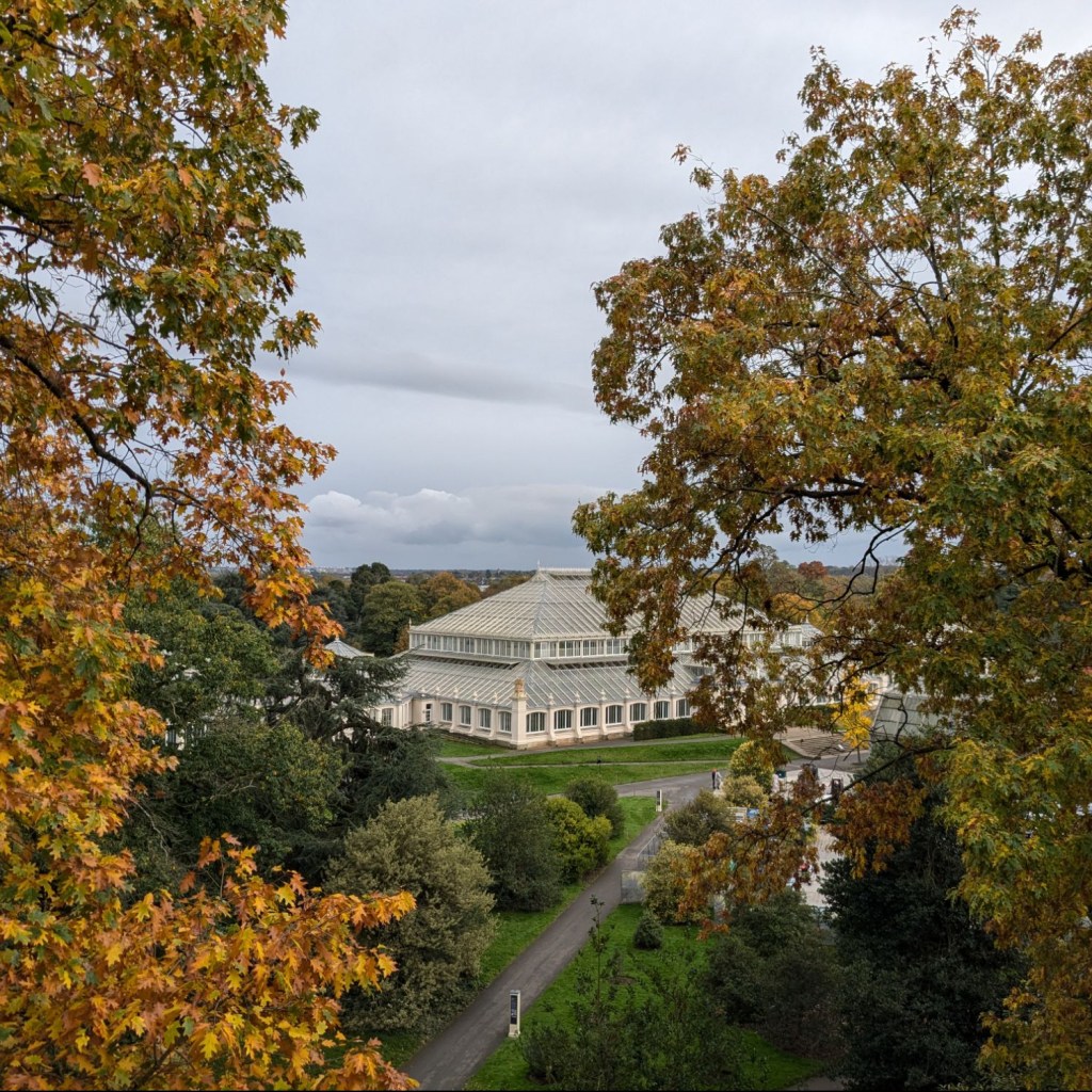 Life doesn’t stop because you’re house hunting 🏘️