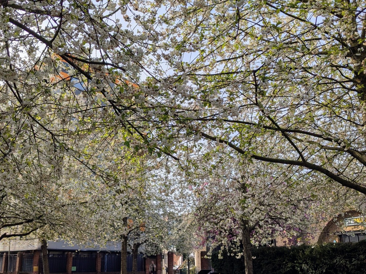 On Growing, Evolving and Never Quite&nbsp;Arriving