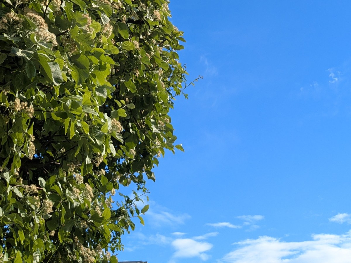 Life lately: Wedding Plans, Warm Evenings and Writer’s&nbsp;Block