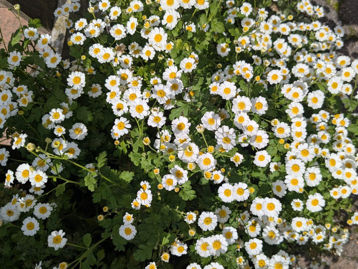What Living Gently Means to&nbsp;Me
